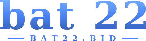 bat 22 logo